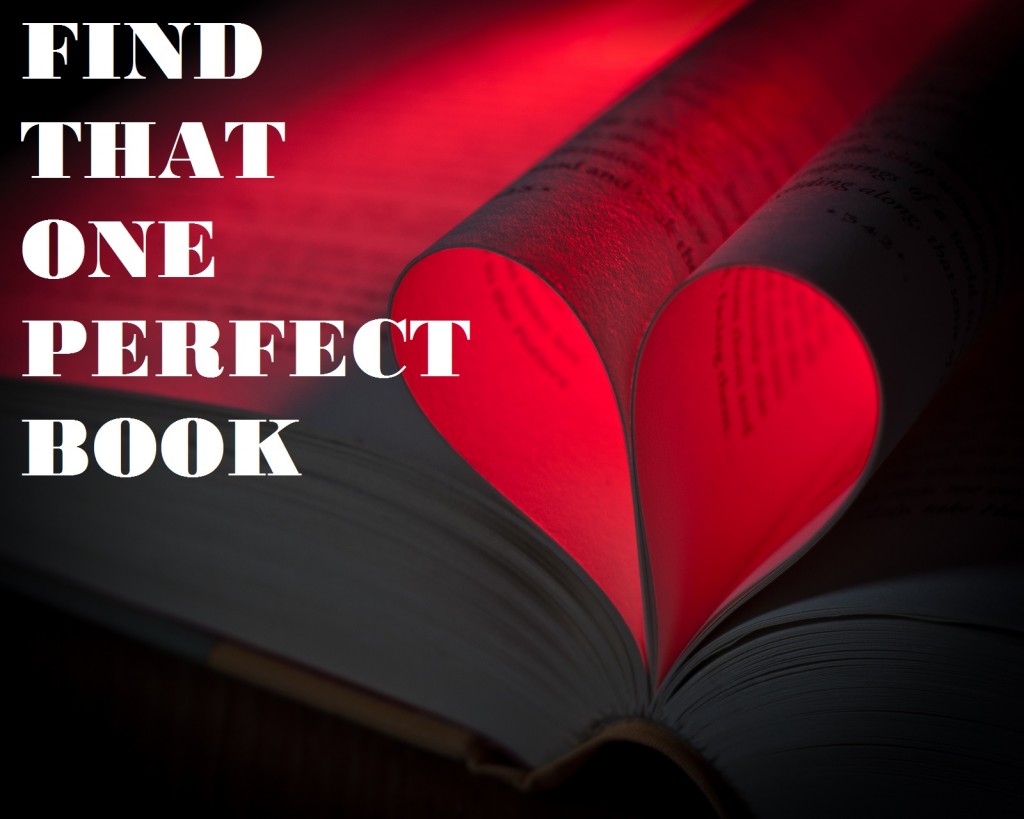 Find That One Perfect Book