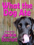 wpid-Cover-What-the-Dog-Ate-Final-lg.jpg